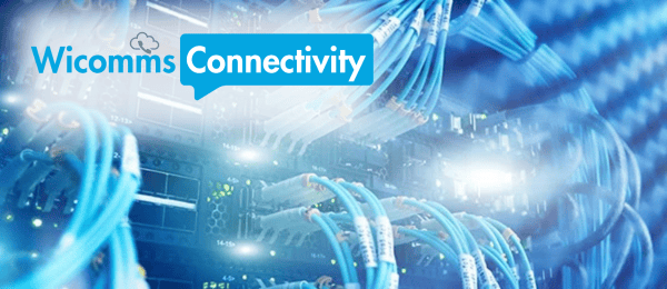 Business Connectivity